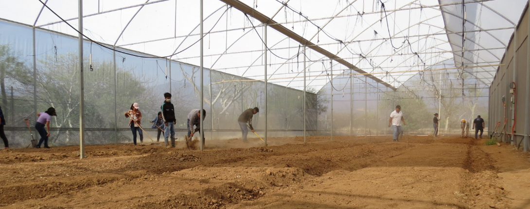 Ingeniería en Agroindustrias