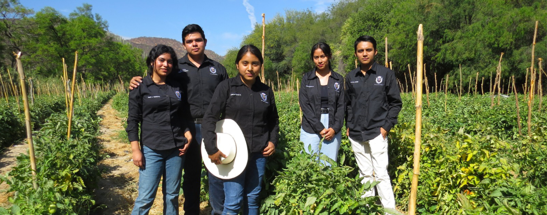 Licenciatura en Producción Sustentable