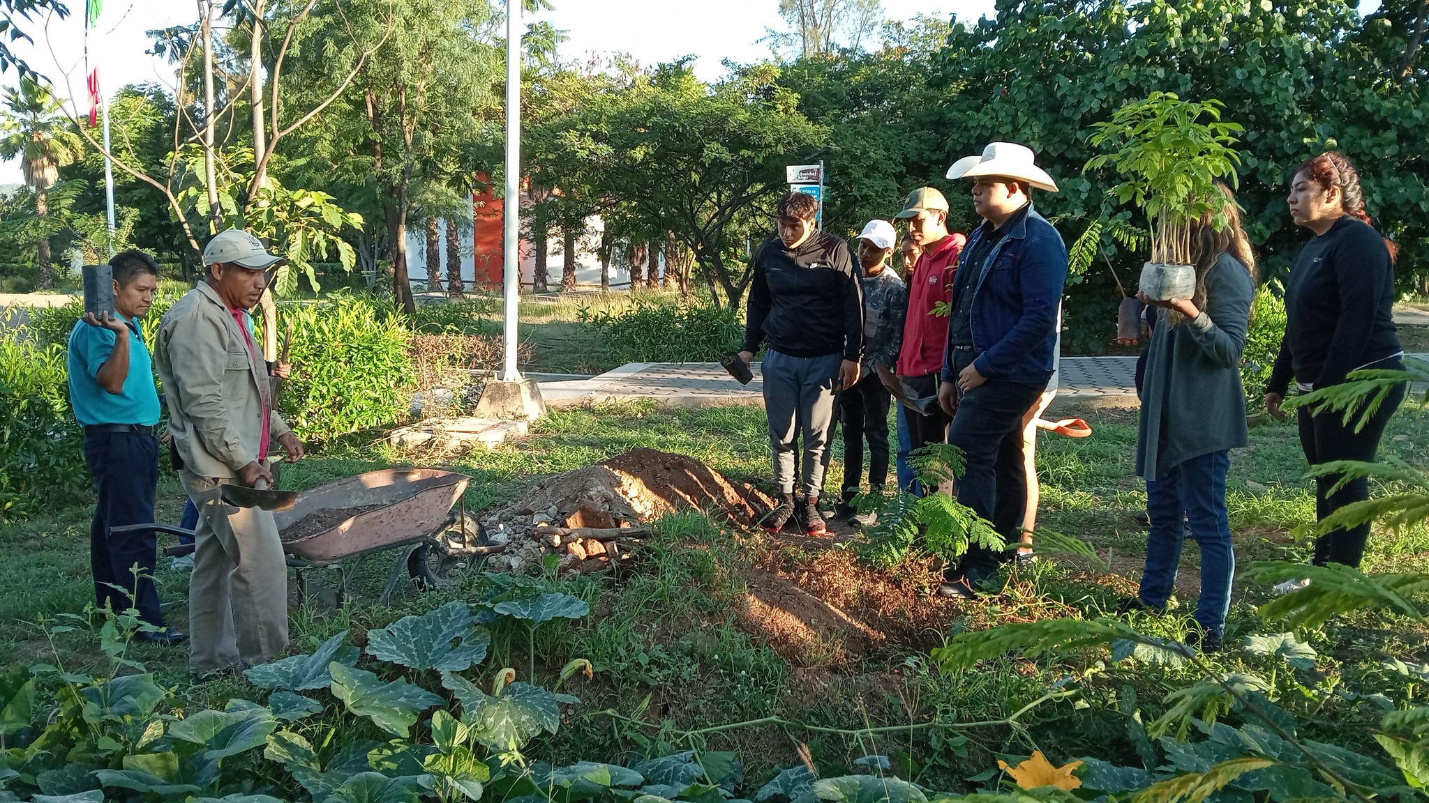 Jornada de reforestacion_img1