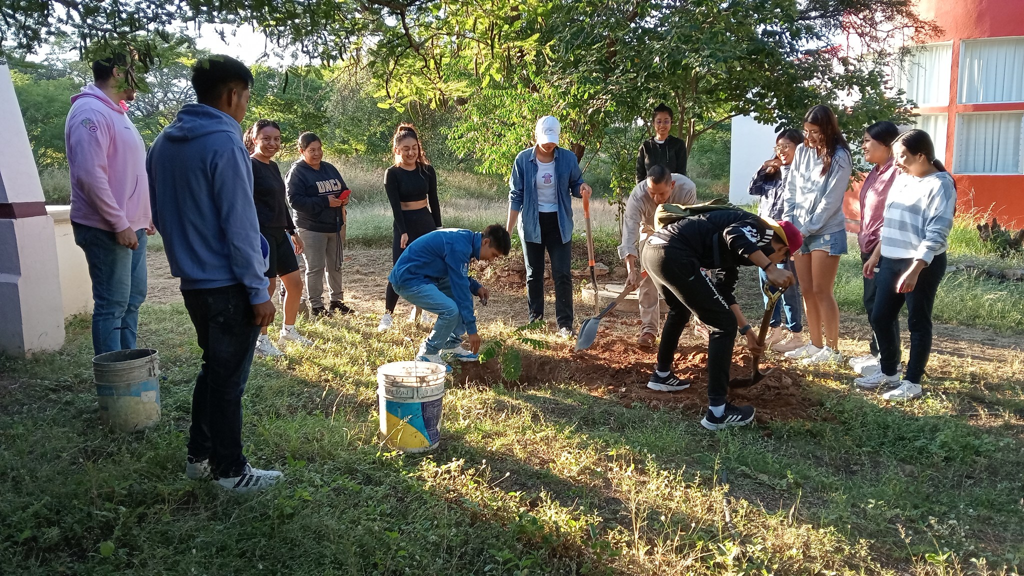 Jornada de reforestacion_img3