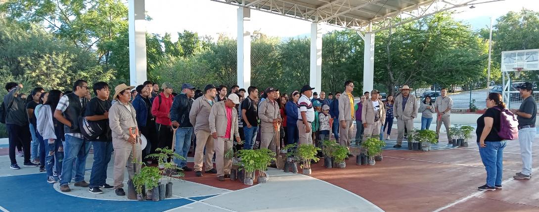 Jornada de Reforestación